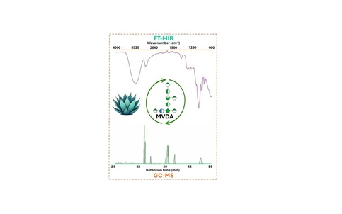 Potential of FT-MIR/GC-MS Multivariate Hyphenation for the Fast Characterization of Agavins Metabolism