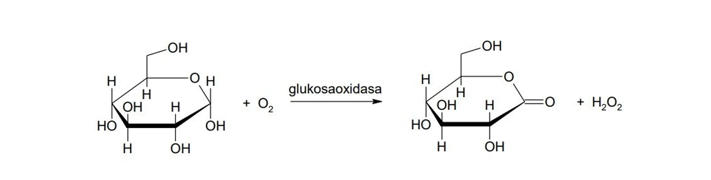 2 THETA: Glukosa