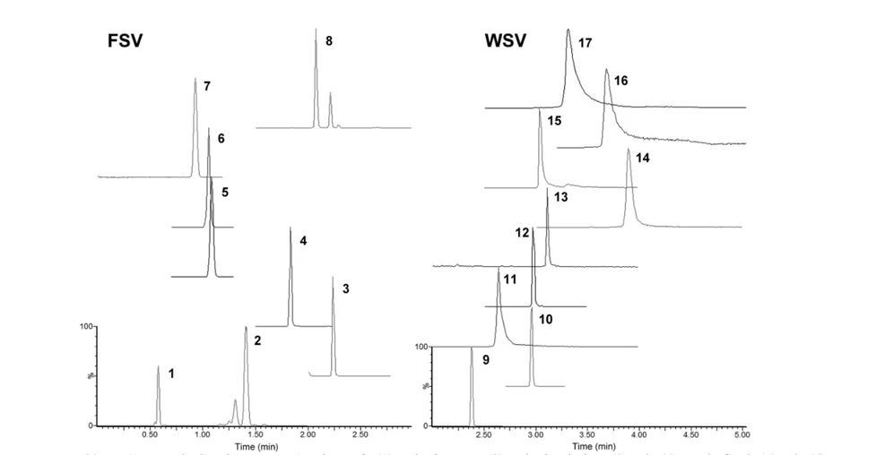 2 THETA: Obr. UHPSFC-MS separace 17 vitamínů. (1) retinol acetát, (2) retinol palmitát, (3) D2, (4) α-tokoferol, (5) K2, (6) K1, (7) α-tokoferol acetát, (8) β-karoten, (9) nikotinamid, (10) kyselina nikotinová, (11) pyridoxin, (12) kyselina d-pantothenová, (13) biotin, (14) thiamin, (15) riboflavin, (16) B12, (17) C. Podmínky: kolona ACQUITY UPC2 HSS C18SB (50 × 3.0 mm, 2 μm), organický modifikátor: methanol/voda (95/5) s 0.2% mravenčanu amonného, několika kroková gradientová eluce z 2 do 100 % organického modifikátoru v CO2, průtok 1.2 ml/min, teplota 40°C, tlakový gradient z 15.2 MPa na 10.3 MPa [53].