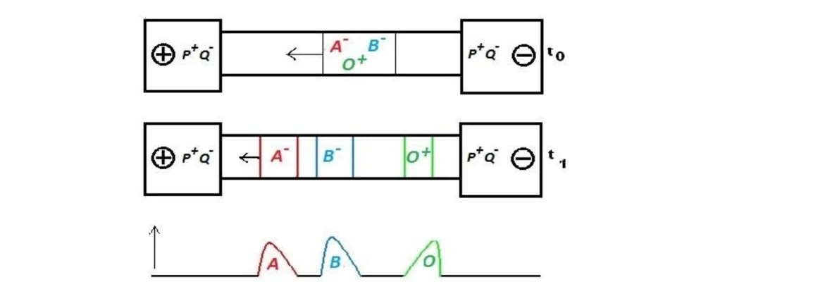 2 THETA: Princíp zónovej elektroforézy