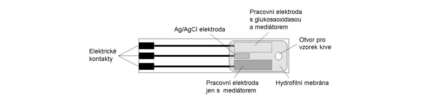 2 THETA: Schématické znázornění jednorázového testovacího proužku s glukosovým biosenzorem druhé generace používaným v osobních glukometrech [4].