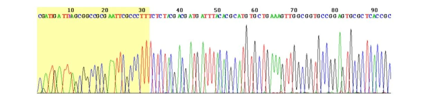 2 THETA: Obr. Výsledek sekvenace úseku DNA automatickým sekvenátorem za pomocí Sangerovy metody . Každý ze čtyř nukleotidů je značen jiným fluorescenčním činidlem a z elektroferogramu lze určit jejich sekvenci [18].