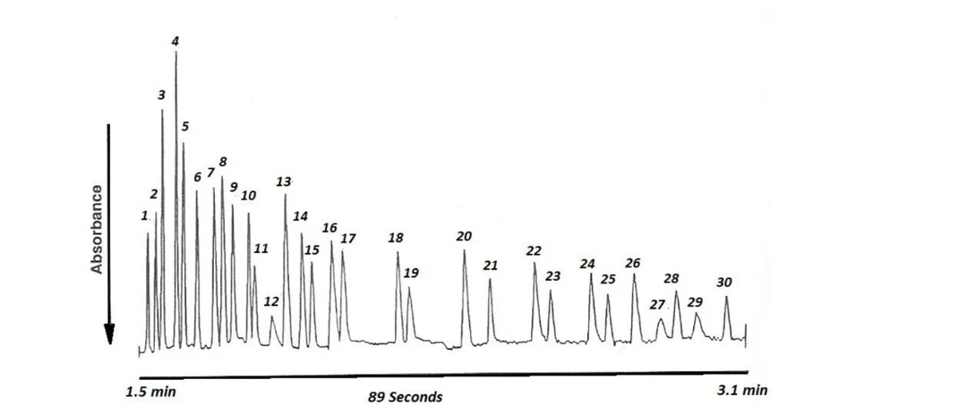 2 THETA: Záznam z CZE separácie modelovej zmesi aniónov. Koncentrácie zložiek v rozmedzí 1 – 10 ppm, kremenná kapilára 50 μm, pH = 8,0, nosný elektrolyt 5 mM chroman, nepriama UV detekcia pri 254 nm. 1 – tiosulfáty, 2 – bromidy, 3 – chloridy, 4 – sírany, 5 - dusitany, 6 – dusičnany, 7 – molybdenany, 8 – azidy, 9 – wolframany, 10 - monofluorfosforečnany, 11 – chlorečnany, 12 – citráty, 13 – fluoridy, 14 – mravčany,
15 – fosforečnany, 16 - fosforitany, 17 – chloritany, 18 – galaktarány, 19 – uhličitany, 20 – etánsulfonáty, 21 – octany, 22 – propionány, 23 – propánsulfonáty, 24 – maslany, 25 – butánsulfonáty, 26 – valerany,
27 – benzoany, 28 – glutarany, 29 – pentánsulfonáty, 30 – glukuronany. So súhlasom [3]