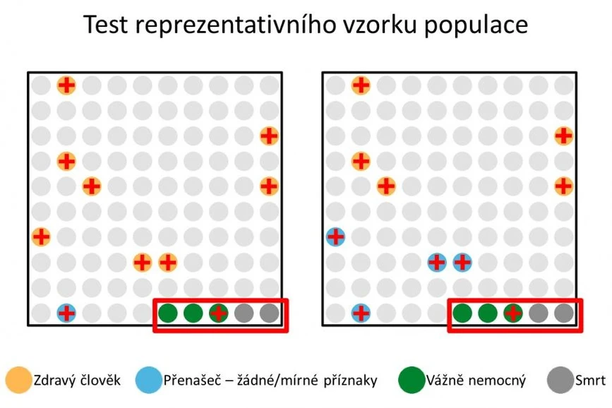 Masarykova univerzita, Magazín M, CC-BY: Testování náhodného vzorku populace umožní zjištění počtu osob s asymptomatickým průběhem onemocnění.