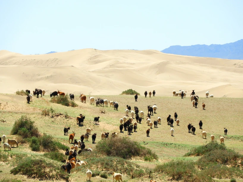 <p> Pixabay: Наталья Коллегова</p>
