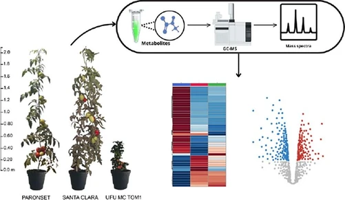Comparative Metabolomic Analysis Reveals Stress-Resilient Metabolites in Dwarf Tomato Plant