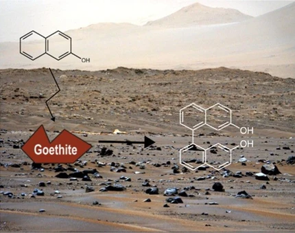 Oxidative Polymerization of Organic Compounds in the Presence of Iron-Bearing Minerals: Implications for Organic Preservation on Mars