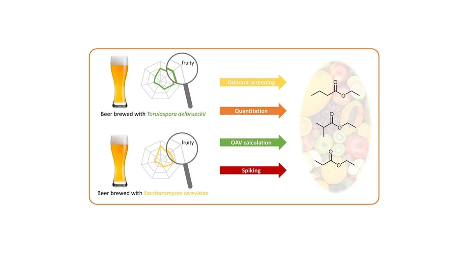 <p>ACS Food Sci. Technol. 2026, 6, 1, 181–188: Graphical abstract</p>