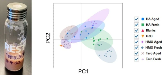 Volatile Organic Compound Profiling of Commercial Poi Products in Fresh and Aged States Using Comprehensive Two-Dimensional Gas Chromatography