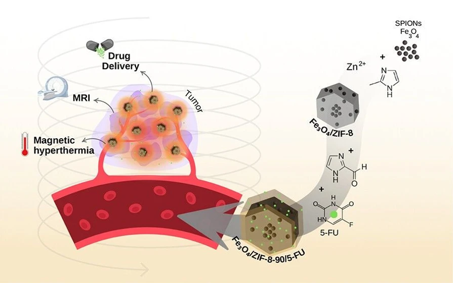<p>ACS Omega 2025, 10, 27, 29463–29475: Graphical abstract</p>