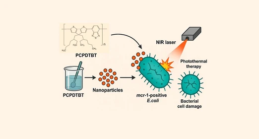 PCPDTBT Conjugated Polymer Nanoparticles for Photothermal Inactivation of Multidrug-Resistant mcr-1-Positive Escherichia coli