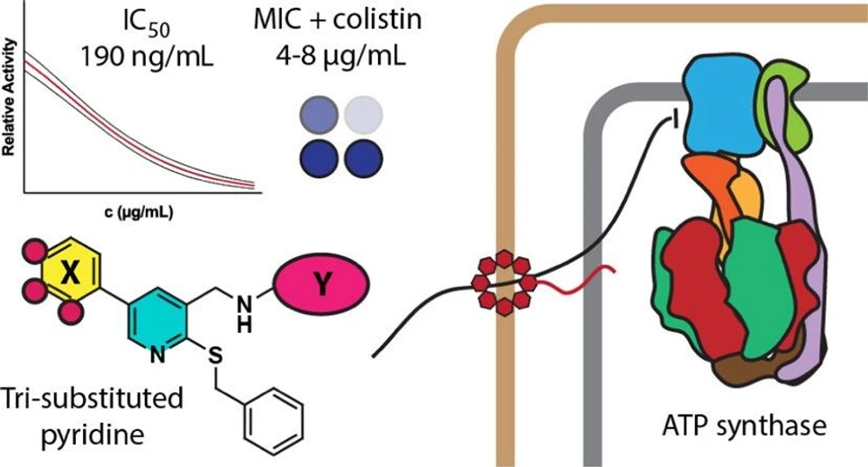 <p>ACS Omega 2025, 10, 39, 45823–45839: Graphical abstract</p>