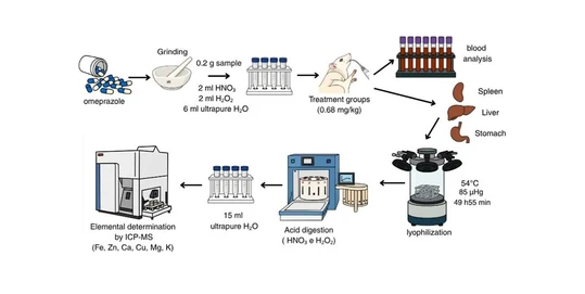 Evaluation of the Long-Term Administration of Proton Pump Inhibitors (PPIs) in the Mineral Nutrient’s Bioavailability