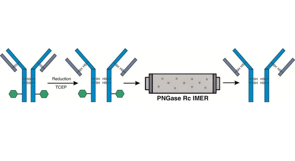 <p>ACS Omega 2026, 11, 17, 25724–25729: Graphical abstract</p>