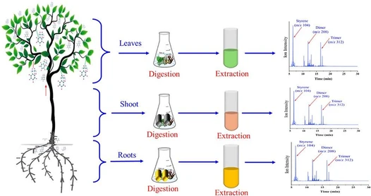 Tracking Microplastics and Their Associated Chemical Additives in Plant Tissues: A Pyrolysis GC-MS Approach to Identification, Quantification, and Translocation Mechanism