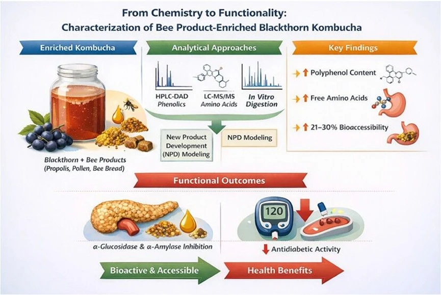<p>ACS Omega 2026, 11, 8, 14048–14063: Graphical abstract</p>