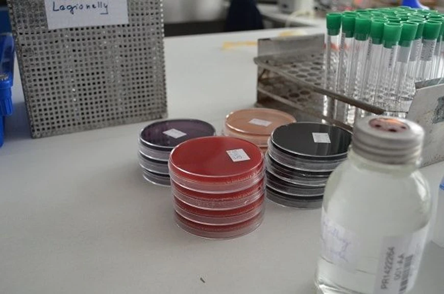 <ul>
<li><strong>Foto:</strong> ALS Czech Republic: Patogenní mikroorganismy a Listeria monocytogenes</li>
</ul>
