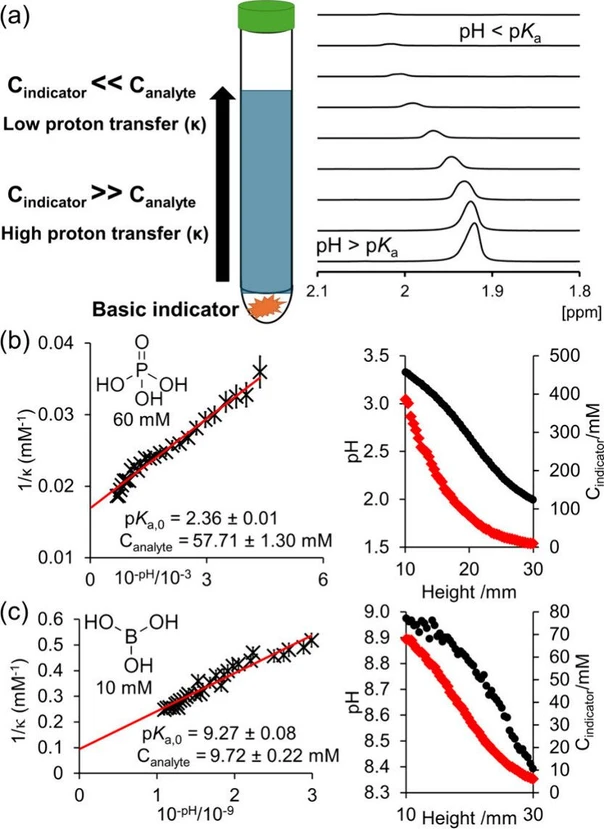Figure 1. (a) A concentration gradient of a basic indicator is established in an NMR tube, allowing measurement of the quantity of protons transferred from acid to base as a function of pH. (b) Plot of 1/κ versus 10–pH for 60 mM H3PO4 (left) and plot of pH (black circle) and Cindicator (red diamond) versus height from tube base (right). (c) Plot of 1/κ versus 10–pH for 10 mM boric acid (left) and plot of pH and Cindicator versus height from tube base (right).