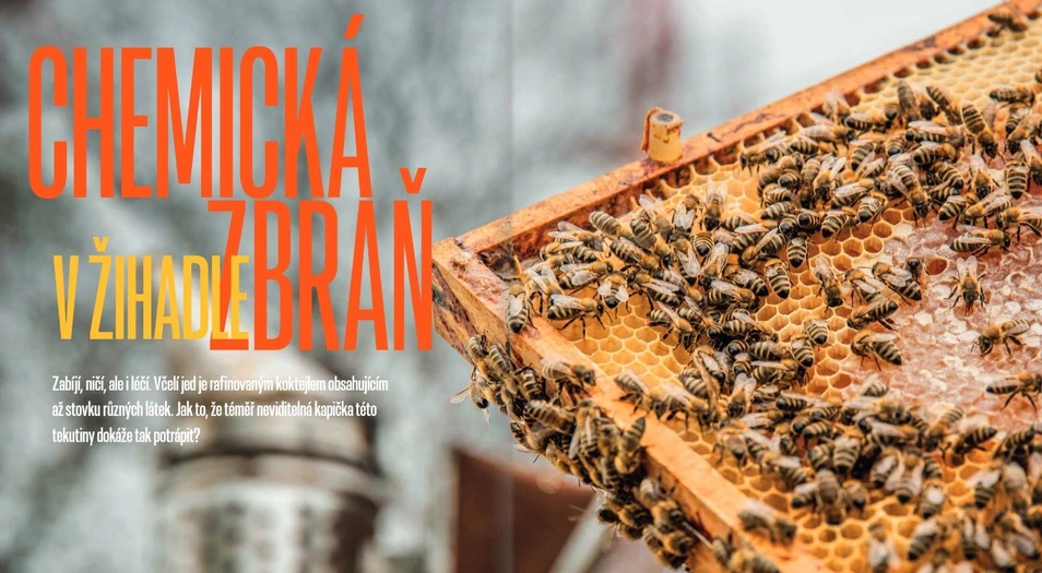<p>AVČR (A / Magazín): Chemická zbraň v žihadle</p>
