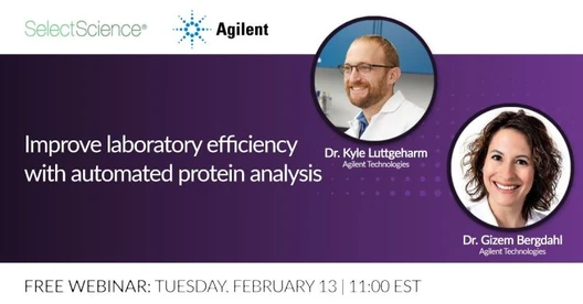 Improve laboratory efficiency with automated protein analysis