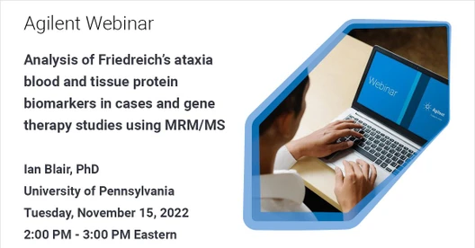 Impossible to go beyond beef: metabolomics profiling of meat and plant-based meats
