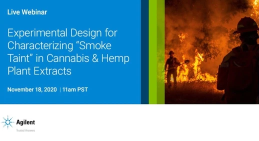 Experimental Design for Characterizing “Smoke Taint” in Cannabis and Hemp Plant Extracts