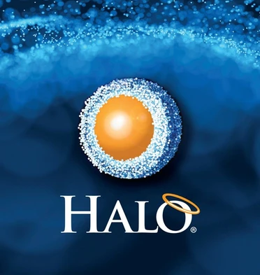 AMT HALO FUSED-CORE HPLC kolony