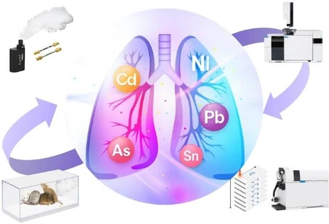 Analytical investigation of metal distribution from e-cigarette aerosols to lung deposition using multi-platform mass spectrometry