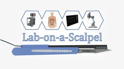 Lab-on-a-Scalpel: Medical Tool Incorporating a Disposable Fully 3D-Printed Electrochemical Cell Promoting Drop-Volume Chemical Analysis in the Operating Theater