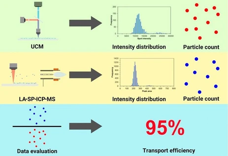 A Method for Determination of Transport Efficiency in Laser Ablation Inductively Coupled Plasma Mass Spectrometry for Tissue Analysis