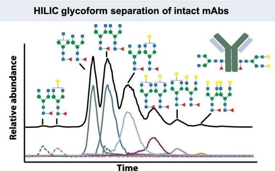 <p>Anal. Chem. 2025, 97, 25, 13569–13576: Graphical abstract</p>