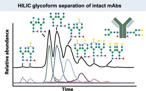 Hydrophilic Interaction Chromatography HRMS with Acrylamide Monolithic Columns: A Novel Approach for Intact Antibody Glycoform Characterization