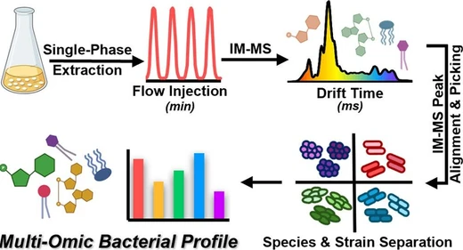 Rapid Multi-Omics for Bacterial Identification Using Flow Injection–Ion Mobility–Mass Spectrometry