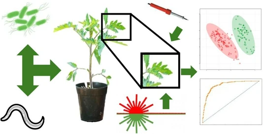 Low-Cost Heating Modalities Allow the Detection of Biomarkers for Plant Infection Using Rapid Evaporative Ionization Mass Spectrometry (REIMS) That Are Pathogen Specific