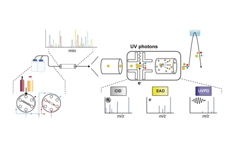 General Screening and Multiple Dissociation Methods for Complementary LC–MS Analysis of Pesticides in Beverages: Potential and Pitfalls