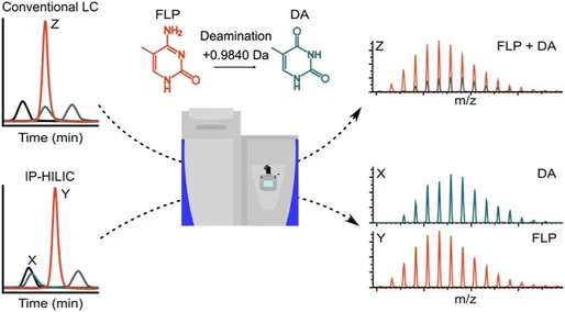 Ion-Pairing Hydrophilic Interaction Chromatography for Impurity Profiling of Therapeutic Phosphorothioated Oligonucleotides