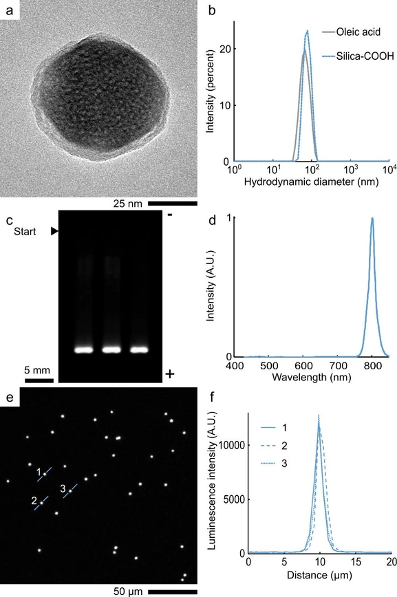 Anal. Chem. 2025, 97, 5, 2588–2592 - Figure 1