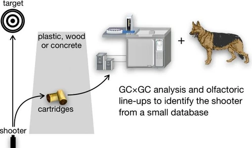 Analysis of the Human Scent on Fired Cartridge Cases from a Simulated Crime Scene