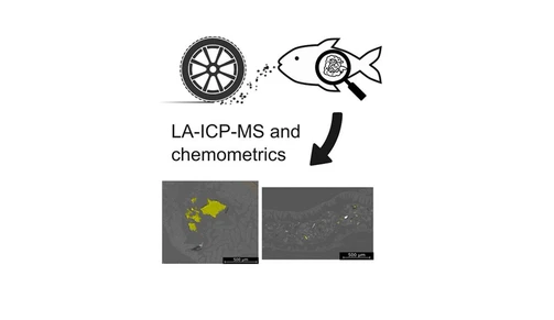 A Method for the Detection of Tire Wear Microplastics in Zebrafish Guts by Laterally Resolved LA-ICP-MS-Based Elemental Fingerprinting and Chemometrics