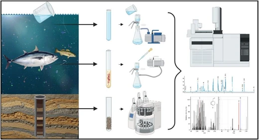 Rapid and Sensitive Quantification of Nano- and Microplastics in Water, Sediment, and Biological Tissue by Pyrolysis-Gas Chromatography Tandem Mass Spectrometry with Dynamic Reaction Monitoring