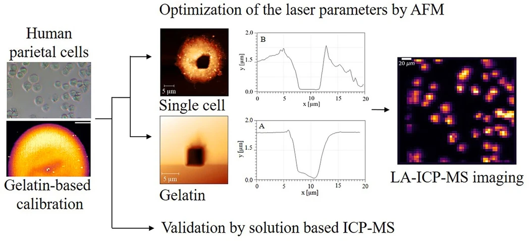 <p><strong>Analytica Chimica Acta, Volume 1355, 2025, 343999:</strong> Graphical abstract</p>
