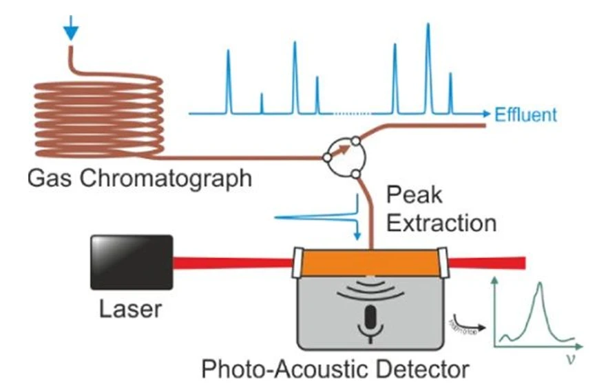 <p><cite>Analytical Chemistry</cite> <strong>2020</strong> <i>92</i> (21), 14582-14588: Graphical Abstract.</p>