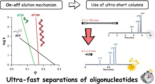 High-Throughput Chromatographic Separation of Oligonucleotides: A Proof of Concept Using Ultra-Short Columns