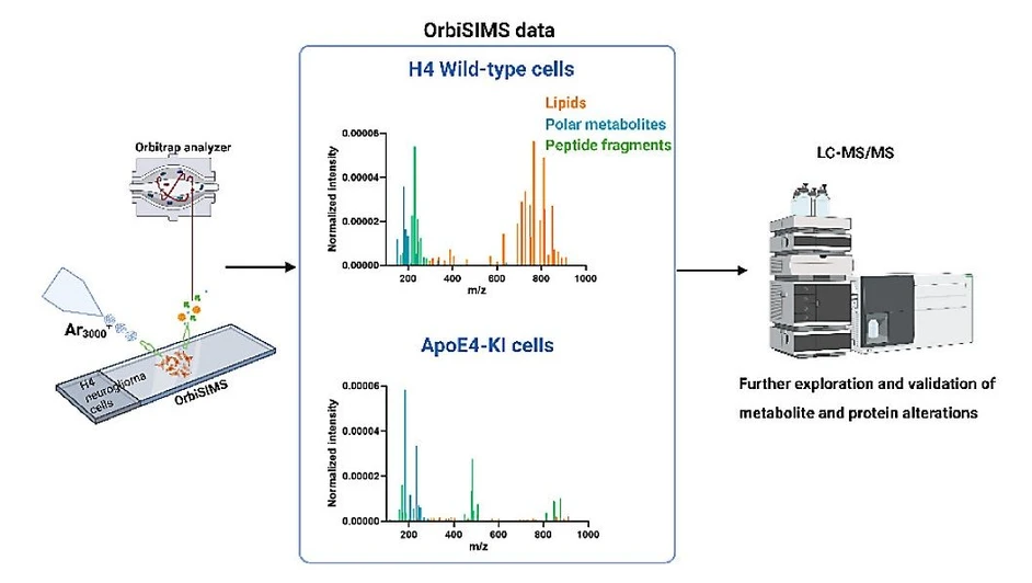 <ul><li><strong>Photo:</strong> <cite>Analytical Chemistry</cite> <strong>2024</strong> <i>96</i> (29), 11760-11770: Graphical Abstract.</li></ul>