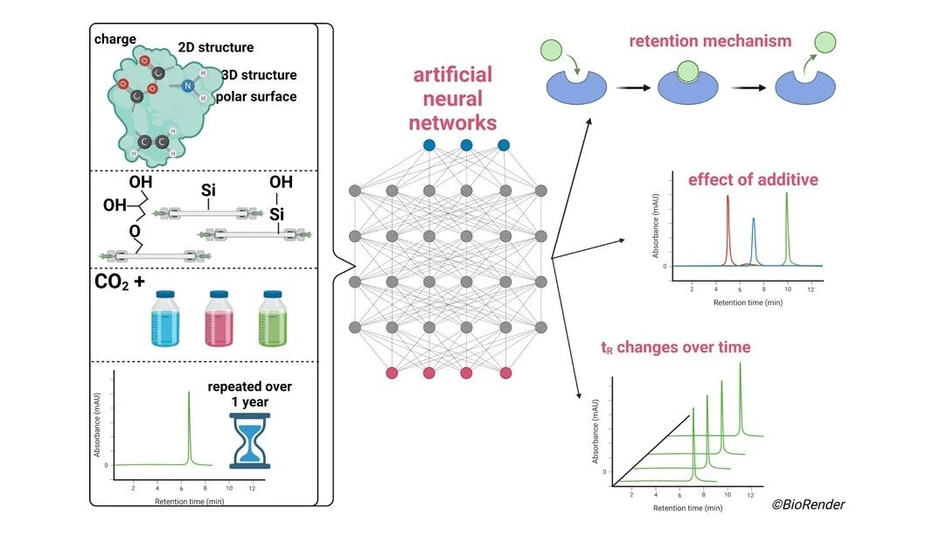 <ul><li><strong>Photo:</strong> <cite>Analytical Chemistry</cite> <strong>2024</strong> <i>96</i> (31), 12748-12759: graphical abstract</li></ul>