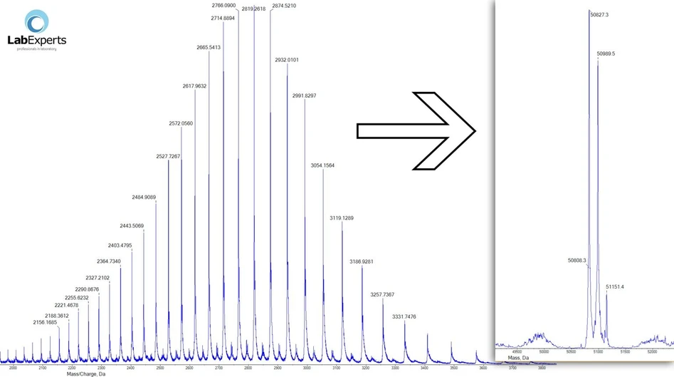 Bioanalytic: Bioanalytic Characteristics of monoclonal antibodies.