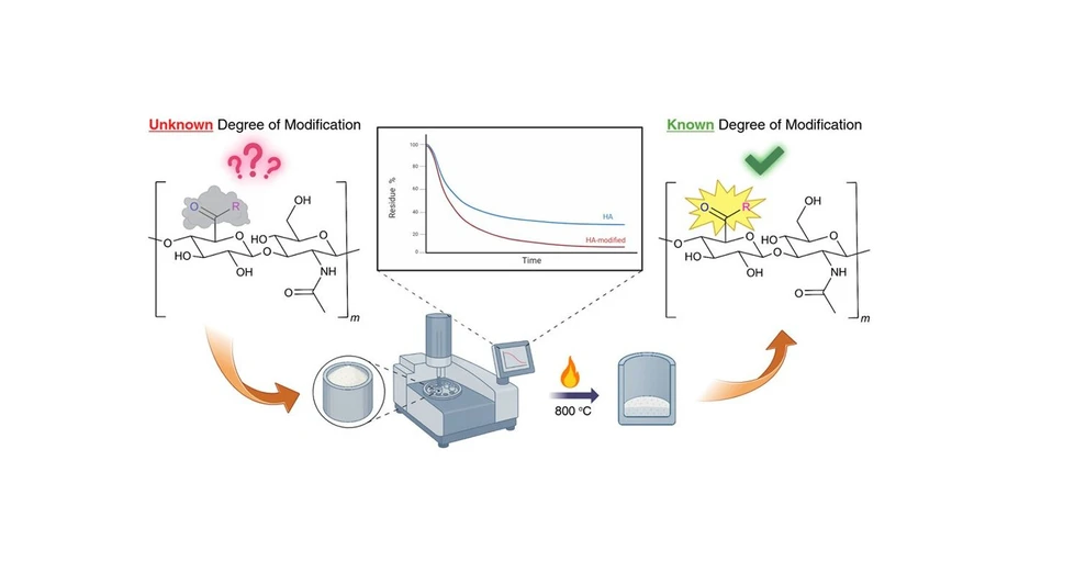 <p>Biomacromolecules 2025, 26, 11, 7767–7777: Graphical abstract</p>