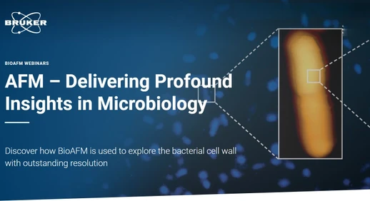 AFM – Delivering Profound Insights in Microbiology