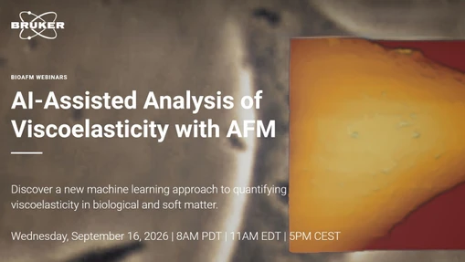 AI-Assisted Analysis of Viscoelasticity with AFM