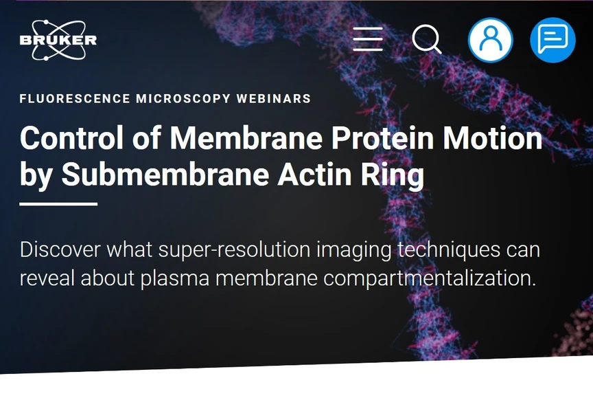 Bruker: Control of Membrane Protein Motion by Submembrane Actin Ring